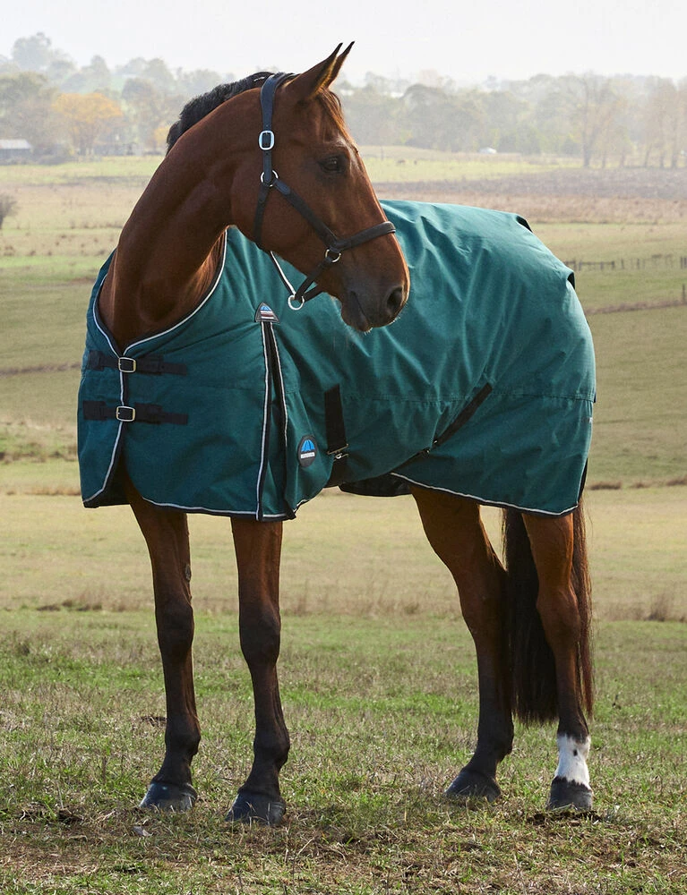 ComFiTec Classic Turnout 0G