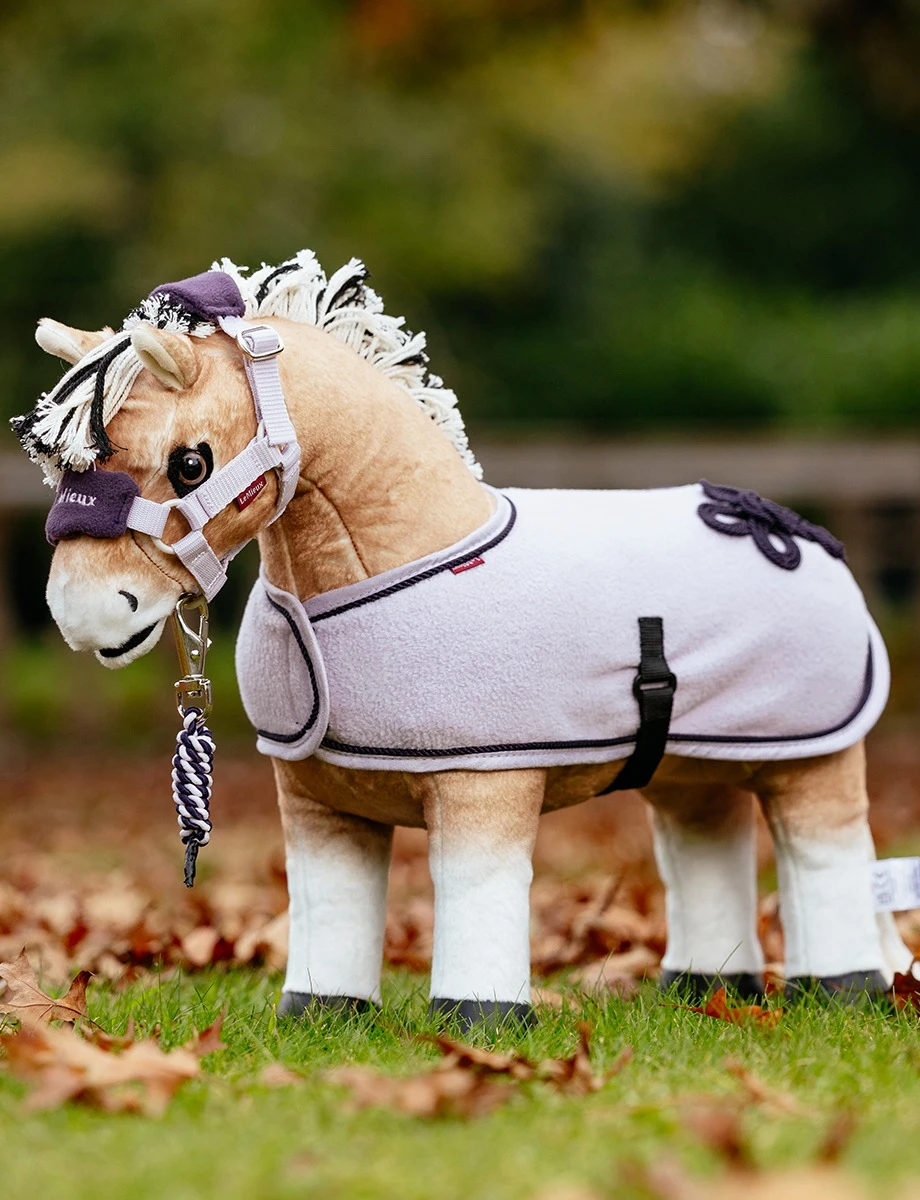 Toy Pony Rug