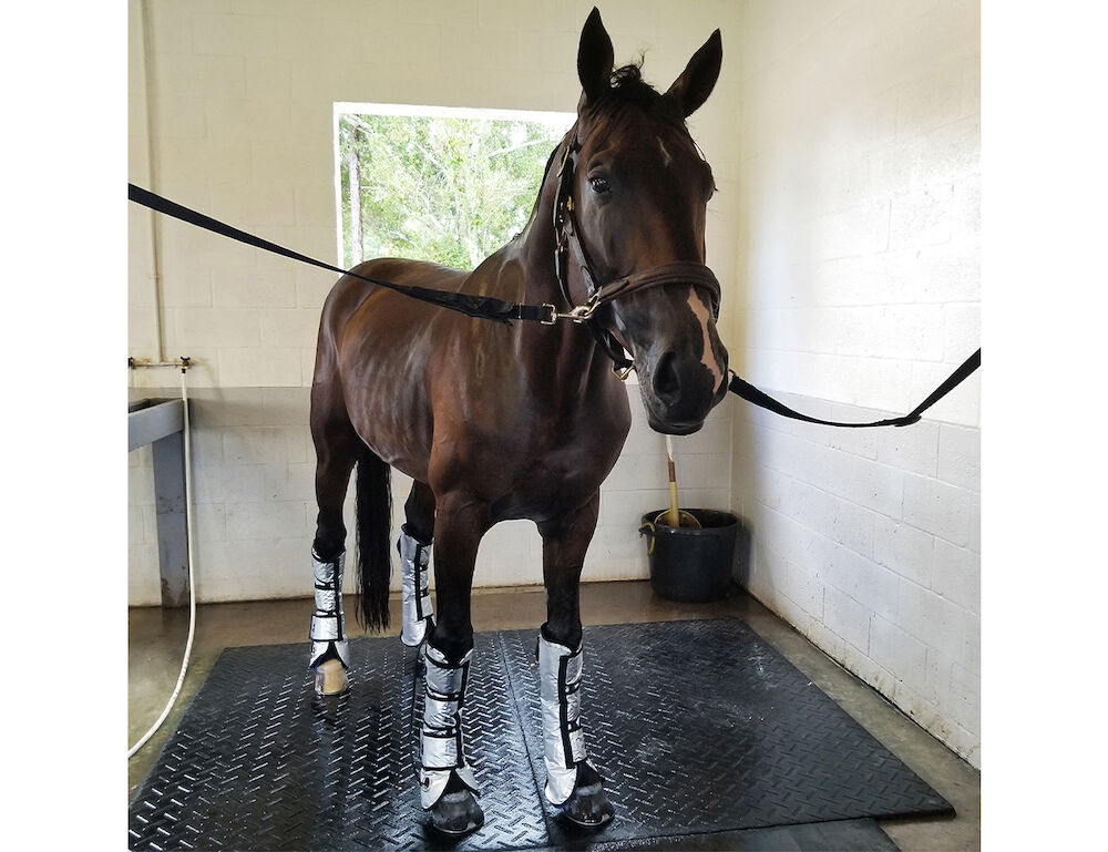 Cool Compression Gel Ice Boot Pair