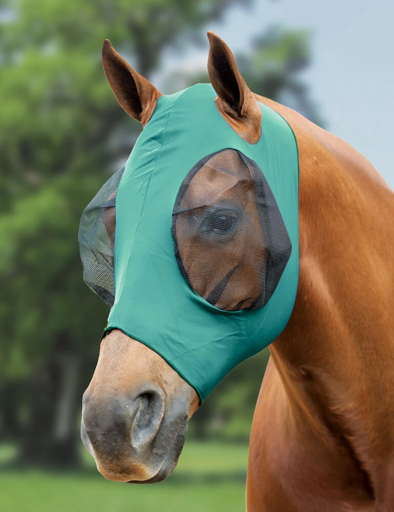 Stretch Bug Eye Saver