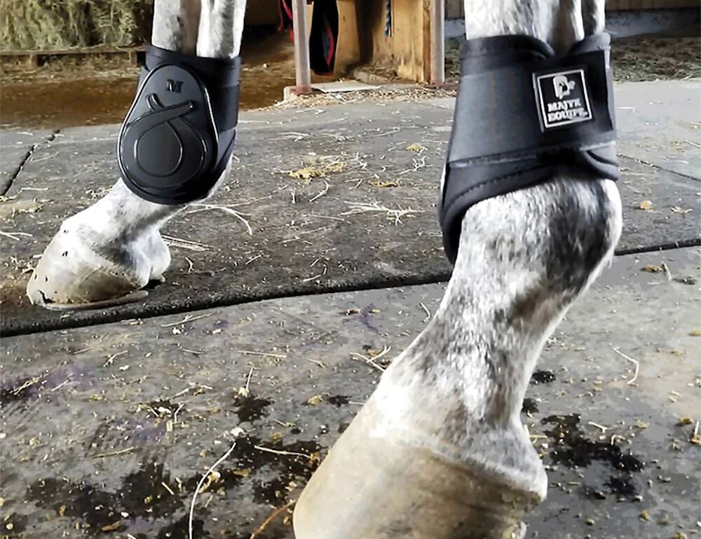 Vented Infinity Fetlock Boot