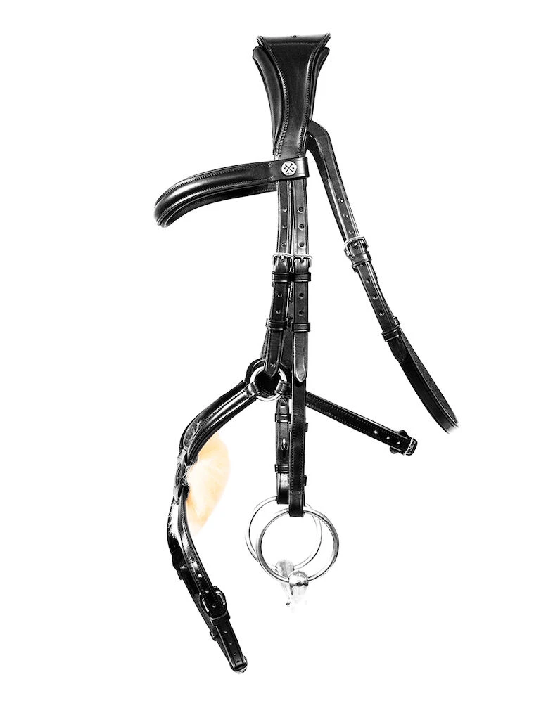 Mexican Grackle Bridle