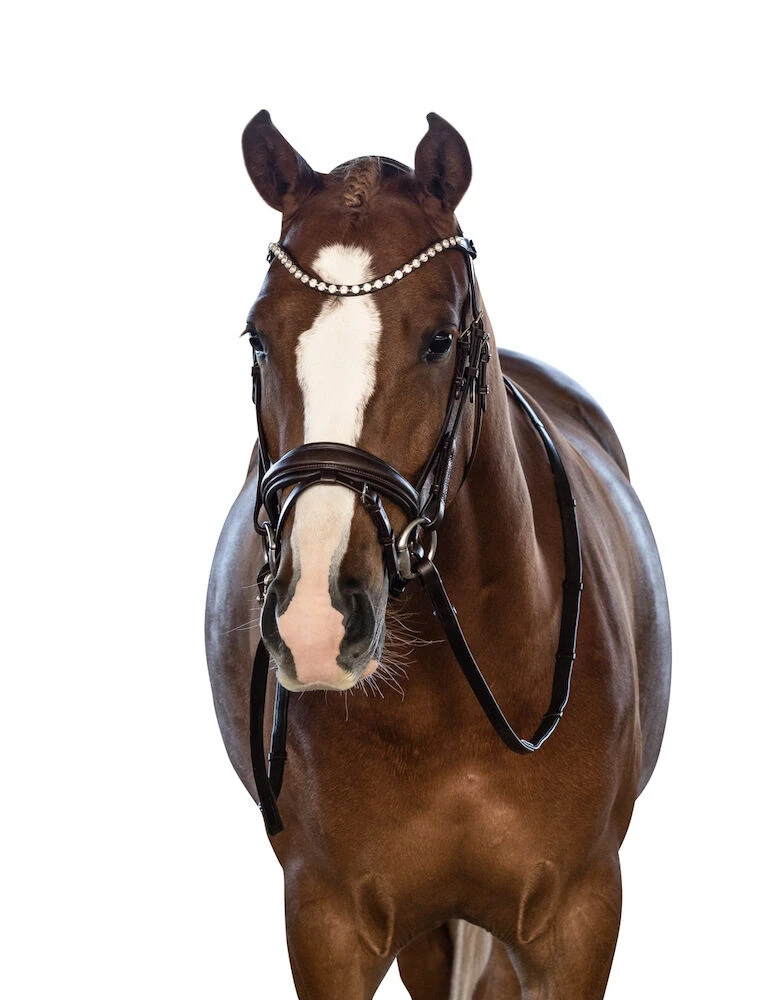 Essential Pony Bridle With Flash