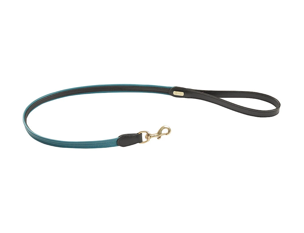 Padded Colour Leather Dog Lead