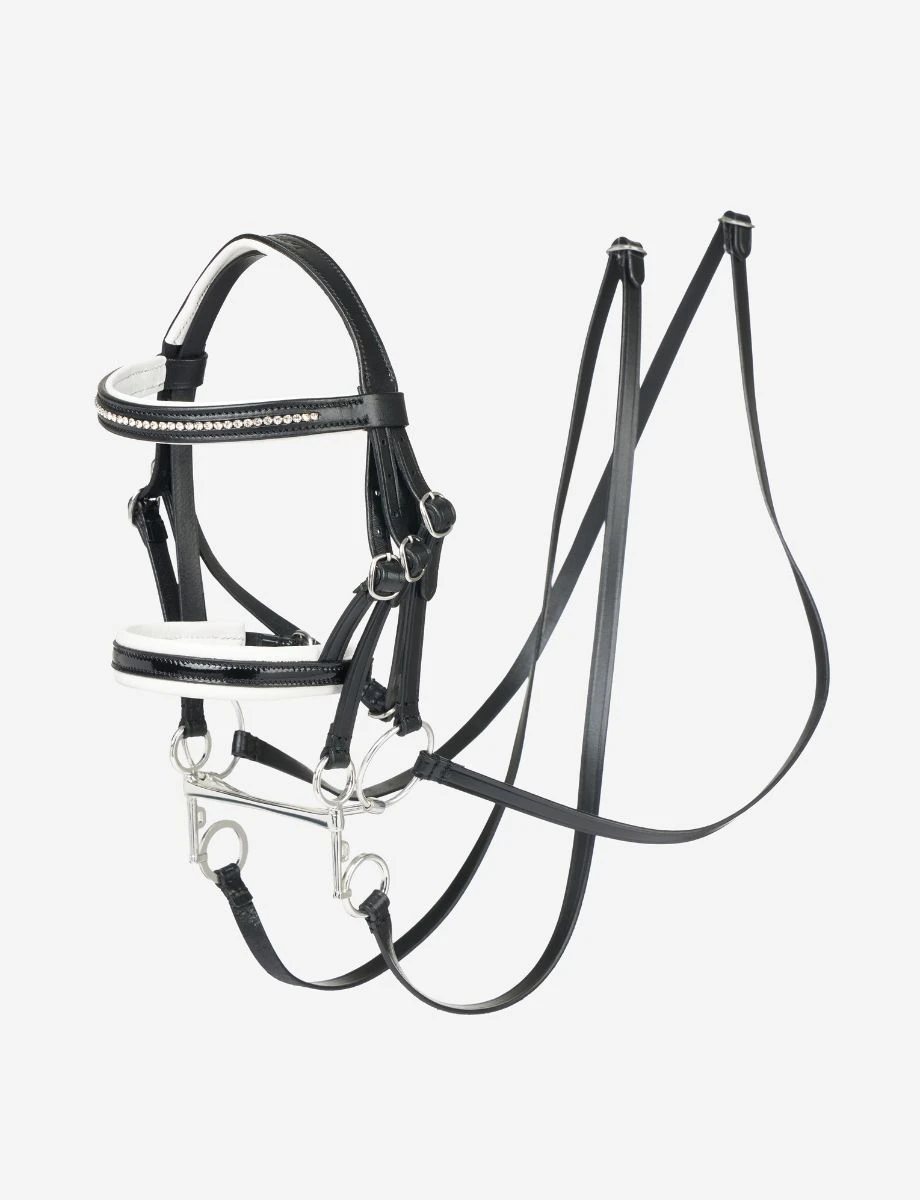 Hobby Horse Double Bridle