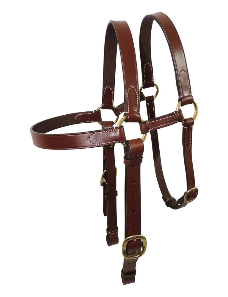 Extended Bridle Head Brass