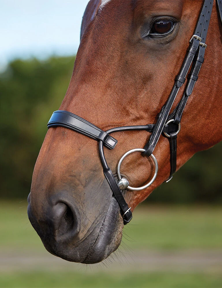 ComFiTec Training Bridle