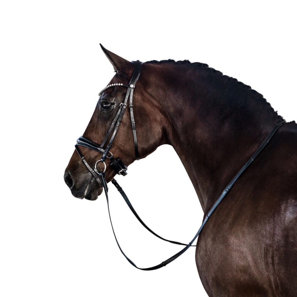 Essential Snaffle Bridle With Flash