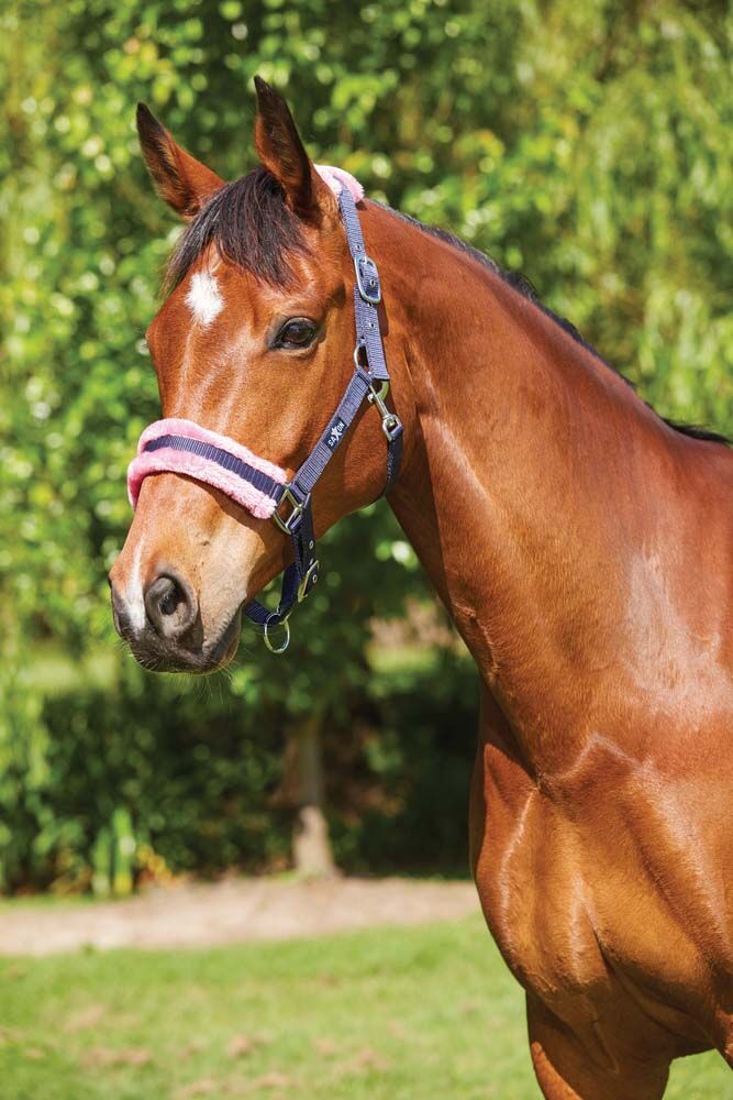 Element Fleece Headcollar