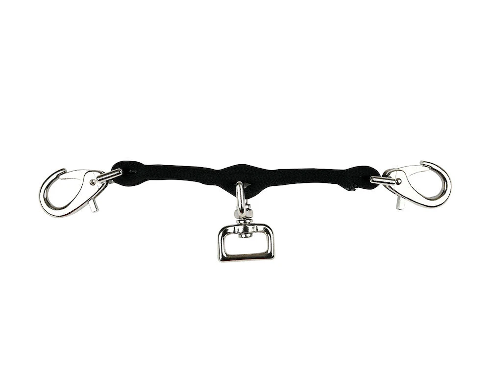 Web Lunging Attachment