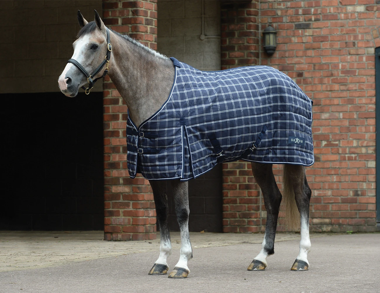 1200D Pp Stable Standard Neck Medium