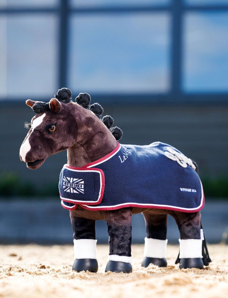 Toy Pony Winners Rug