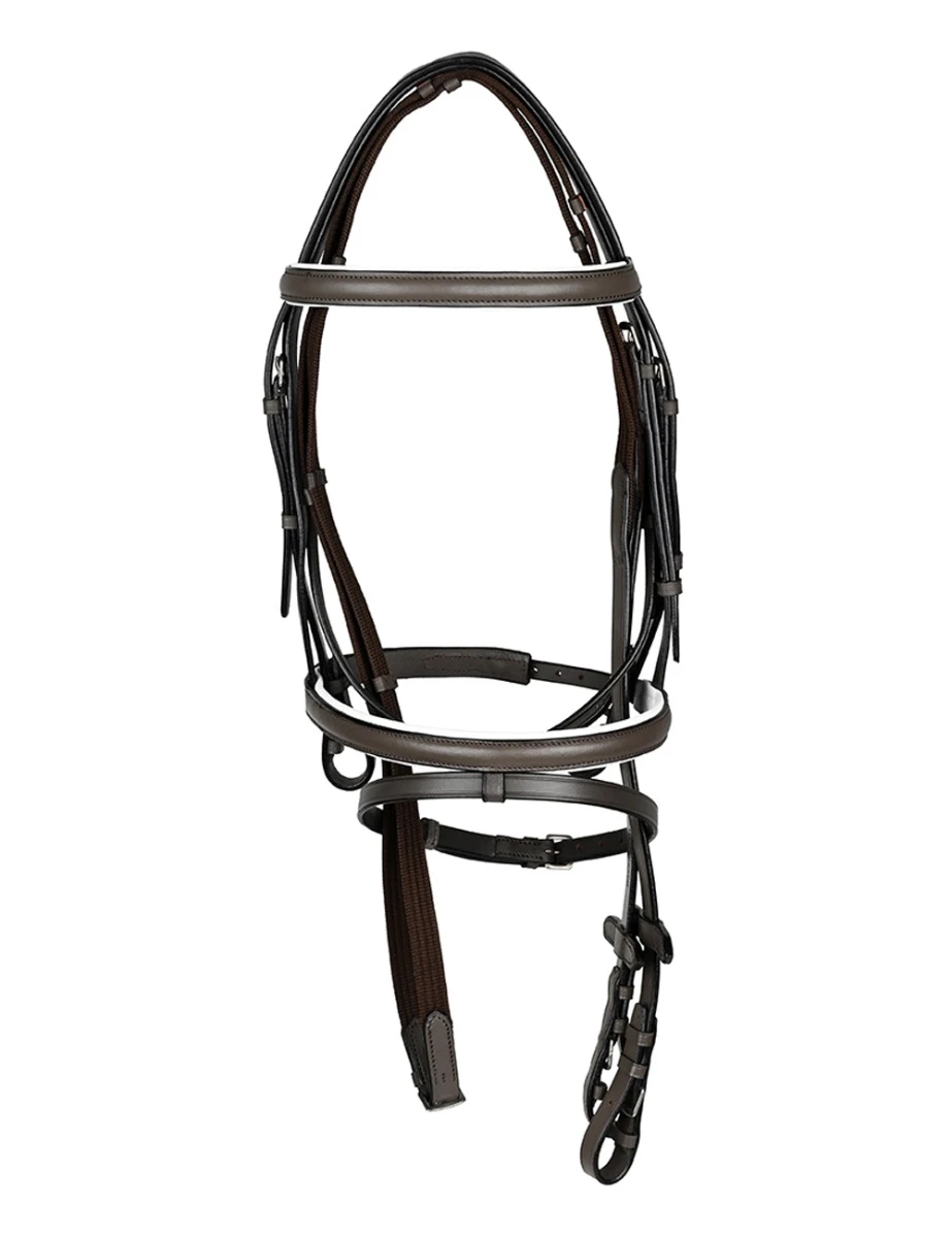 Flash Bridle III