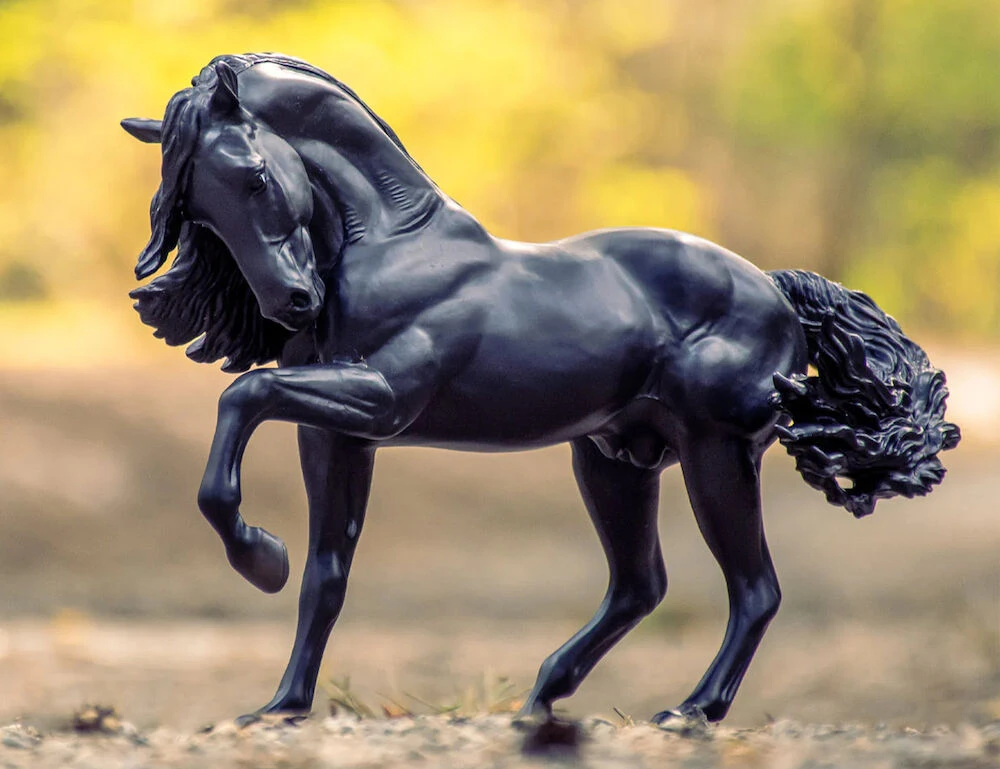 Traditional Sjoerd - Friesian