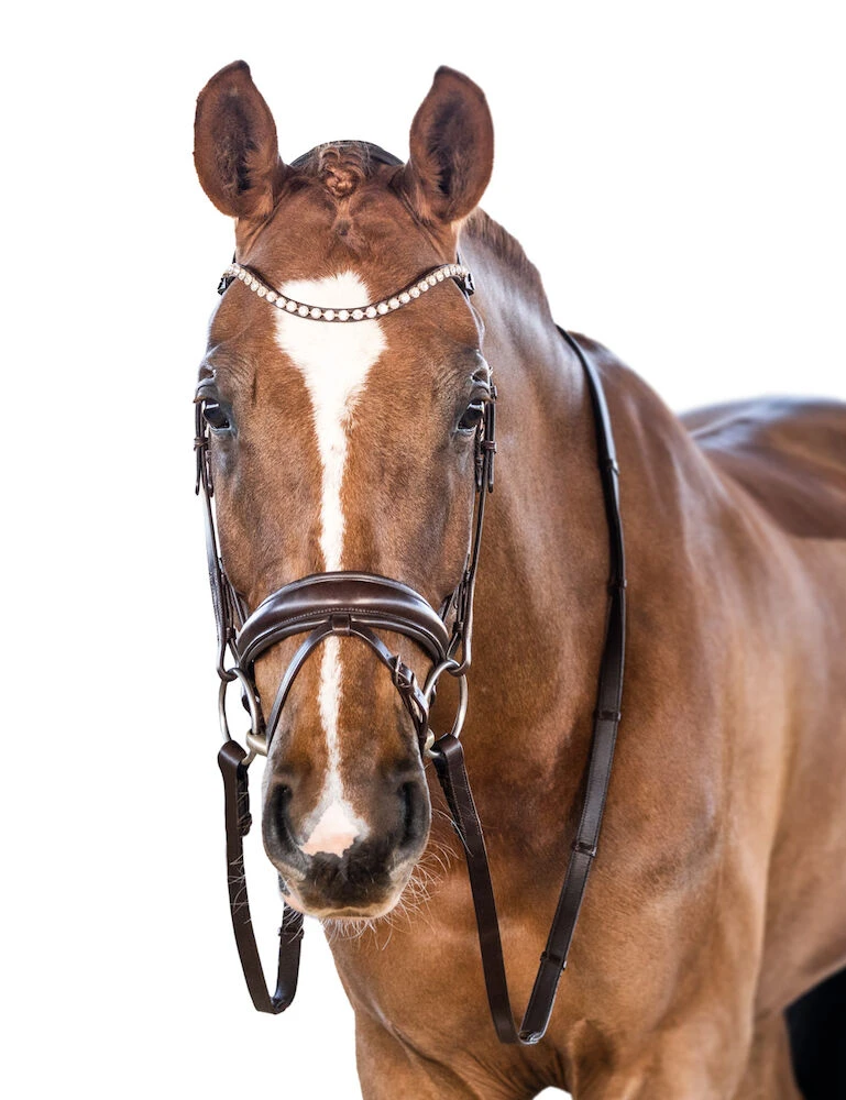 Essential Snaffle Bridle With Flash