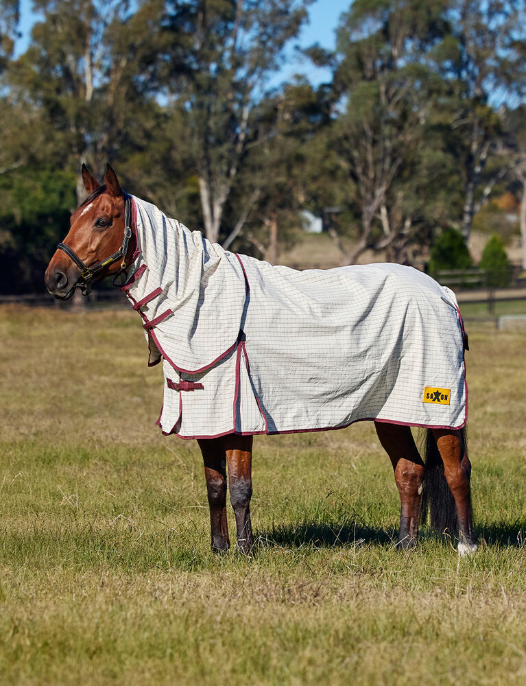 Kool Coat Cotton Sheet Combo