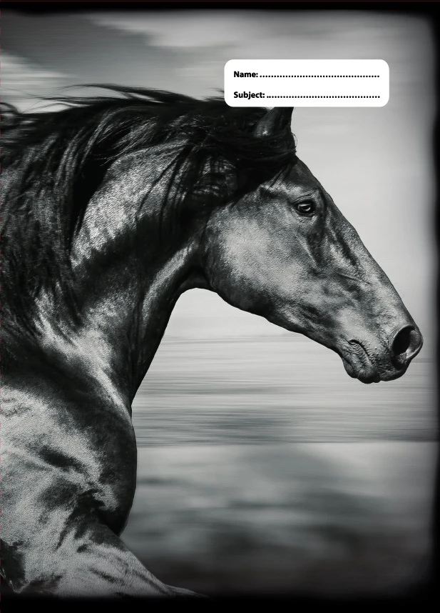 A4 Book Cover - B&W Horses V