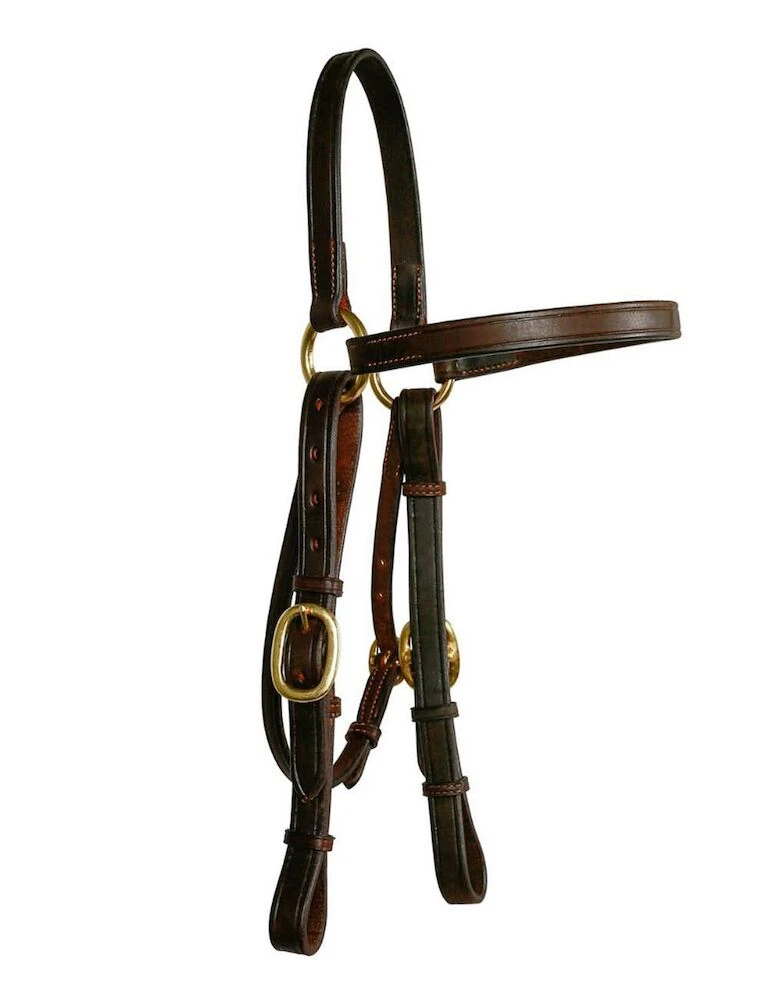 Barcoo Bridle Head