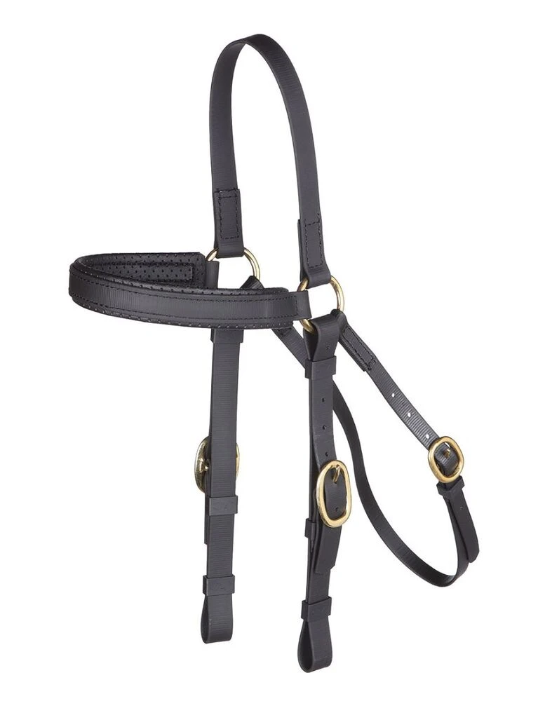 Barcoo Bridle