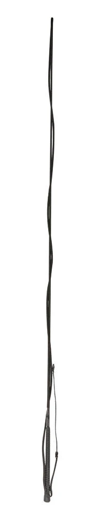 Lunge Whip