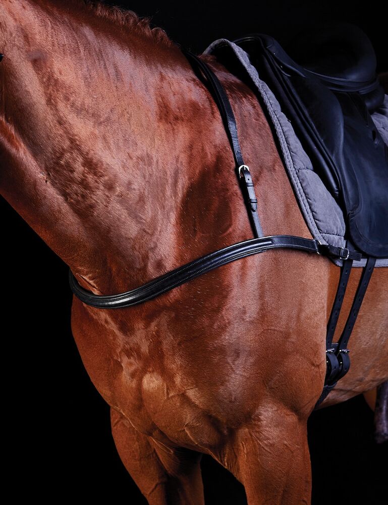 Dressage Breastplate