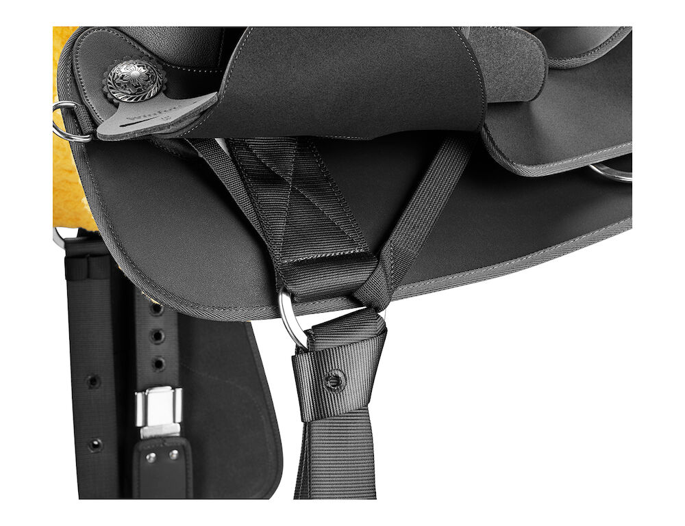 Western Frontier Youth Saddle With Fqhb