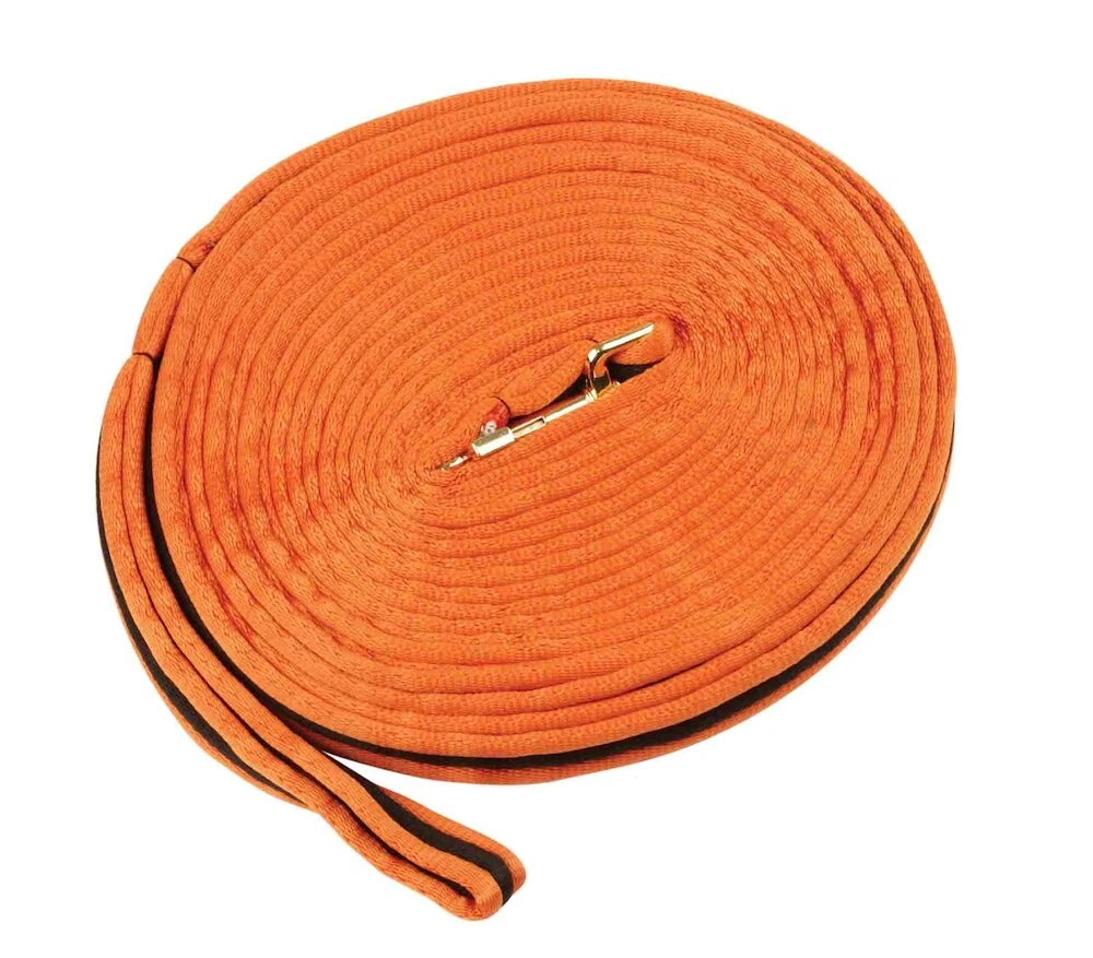 Brights Two Tone Padded Lunging Rein