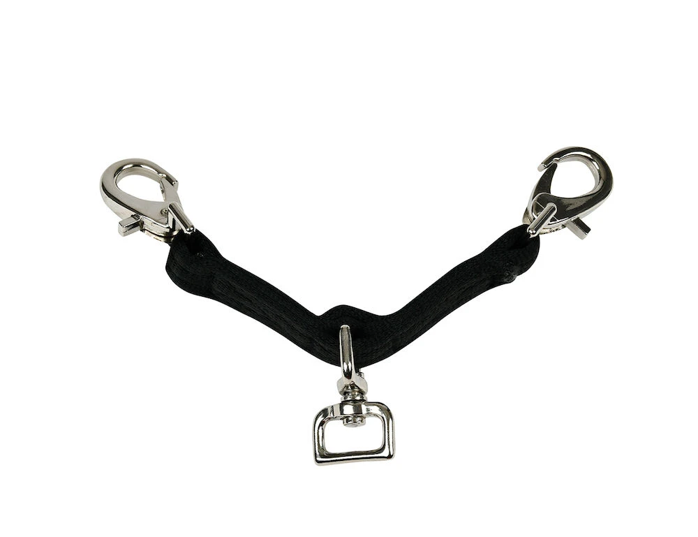 Web Lunging Attachment