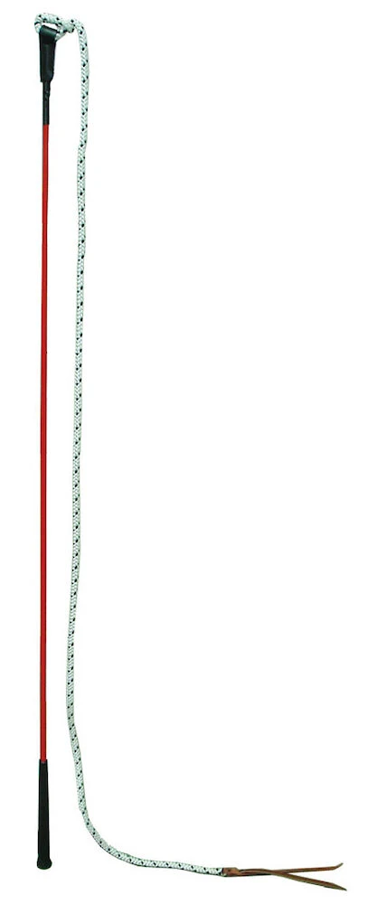 Training Stick