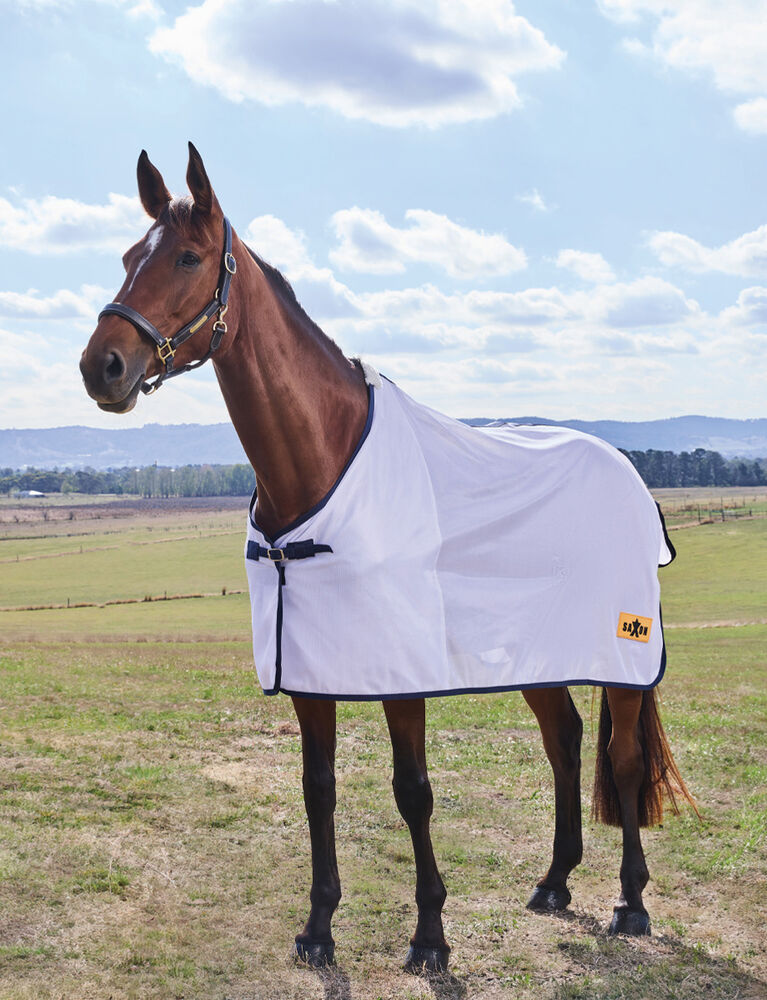 Everyday Fly Sheet
