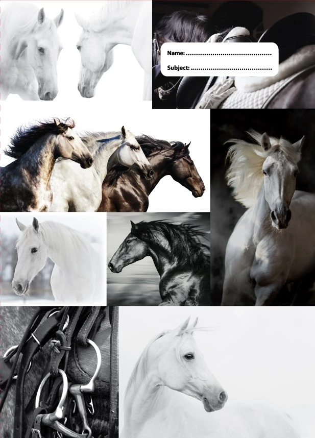 A4 Book Cover - B&W Horses Iv