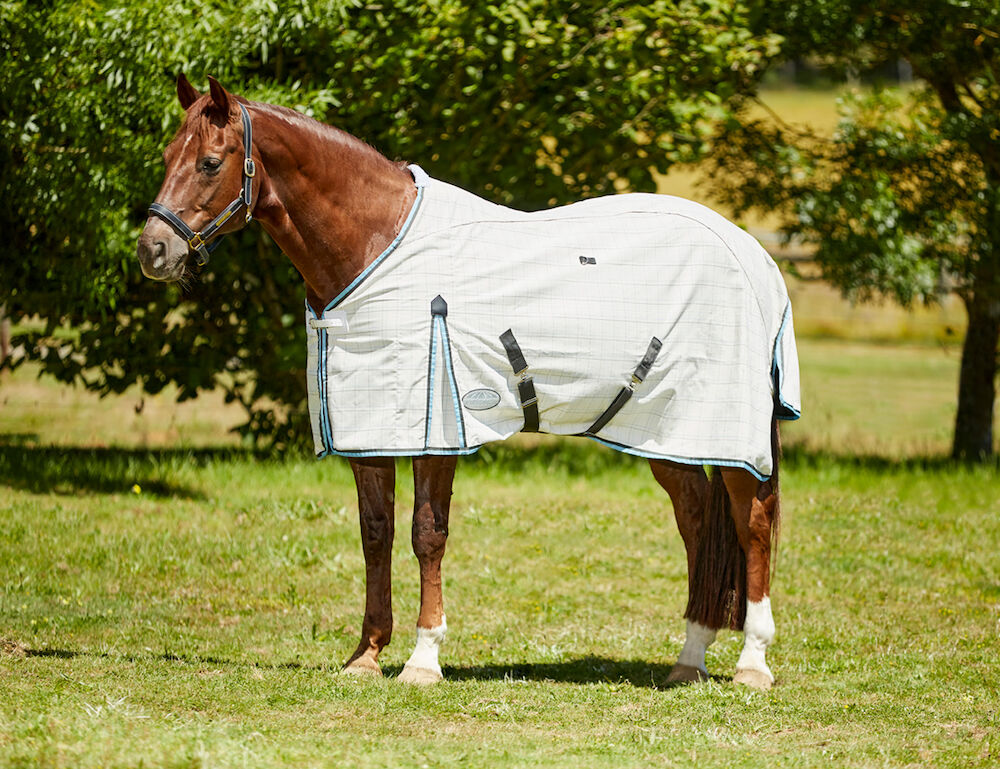 Cotton Summer Sheet Standard Neck