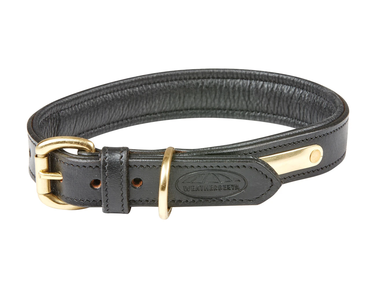 Padded Leather Dog Collar