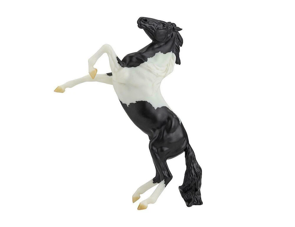 Freedom Black Pinto Rearing Mustang