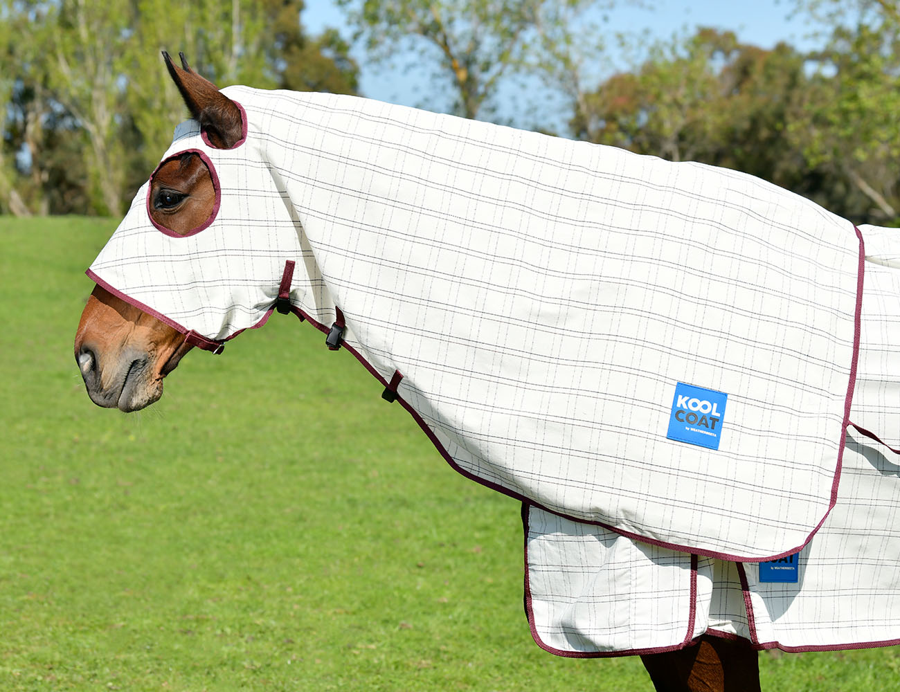 Cotton Hood