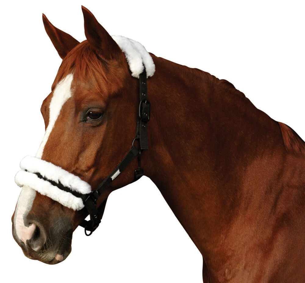 Merino Sheepskin Headcollar