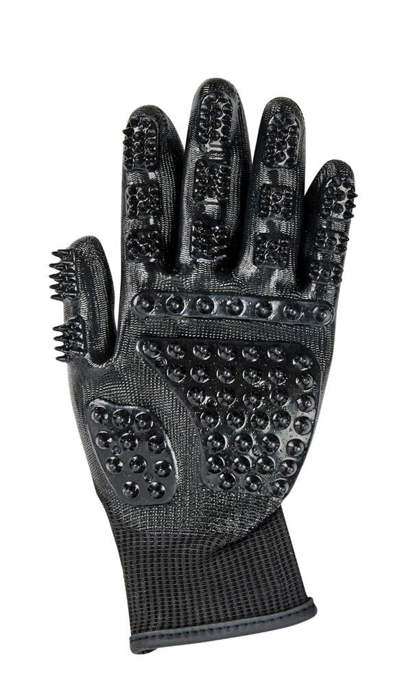 Grooming Glove