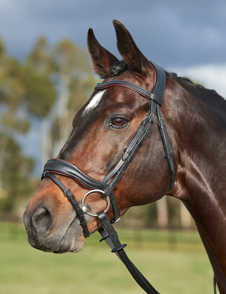 ComFiTec Grace Bridle