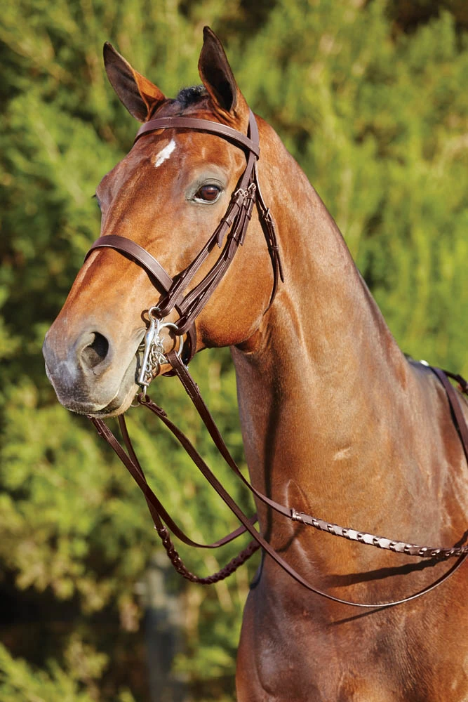 Flat Show Weymouth II Bridle