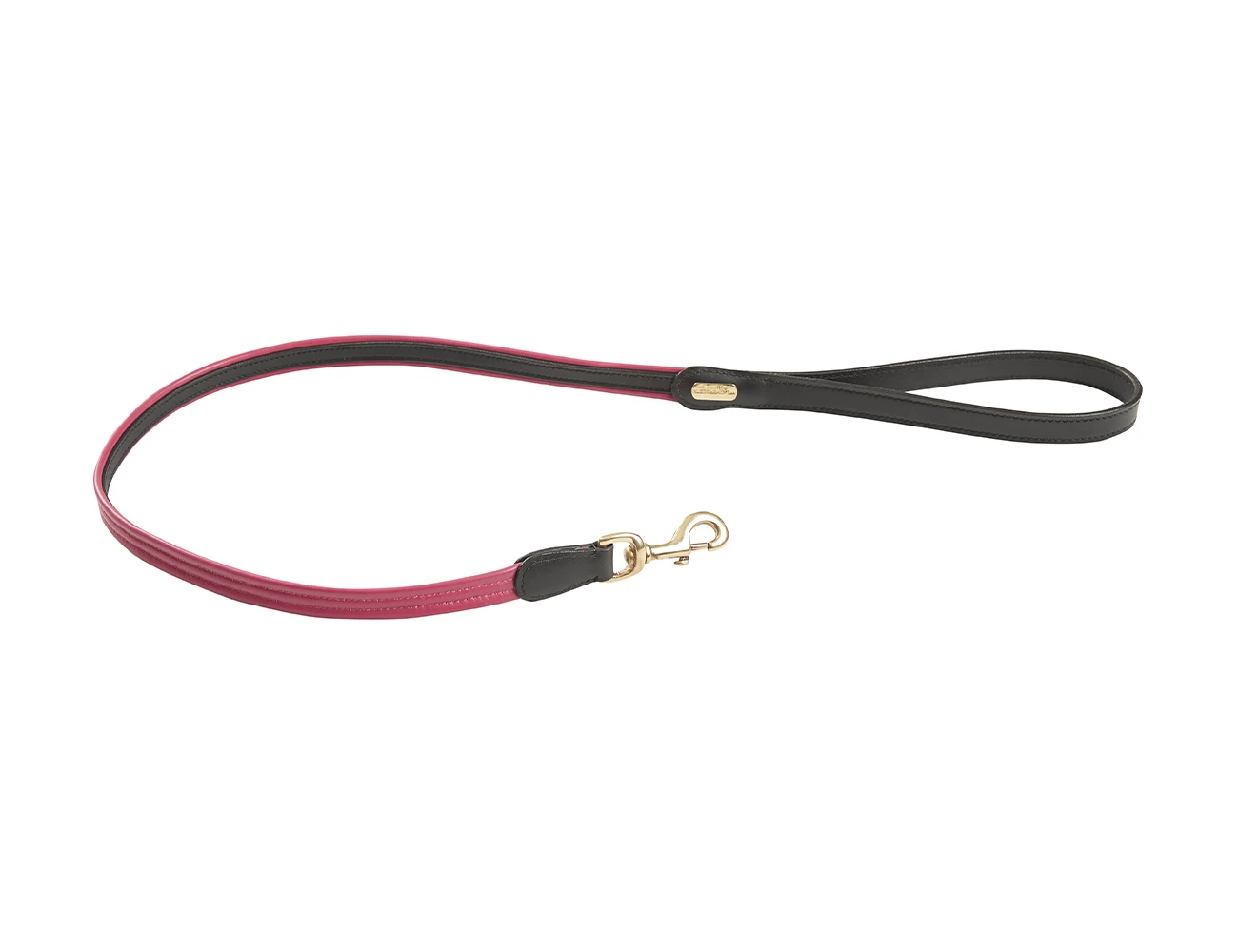 Padded Colour Leather Dog Lead