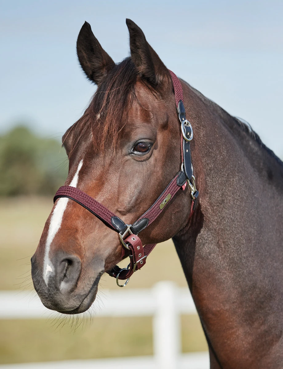 Braided Headcollar