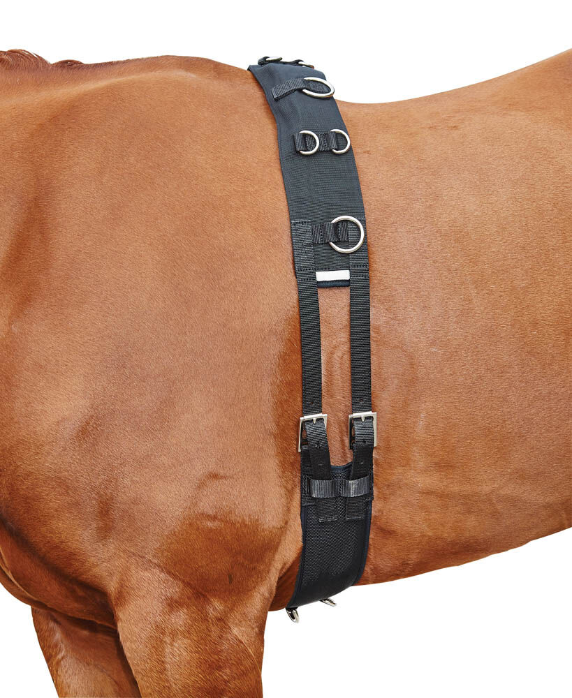 Lunge Roller With Fleece Padding