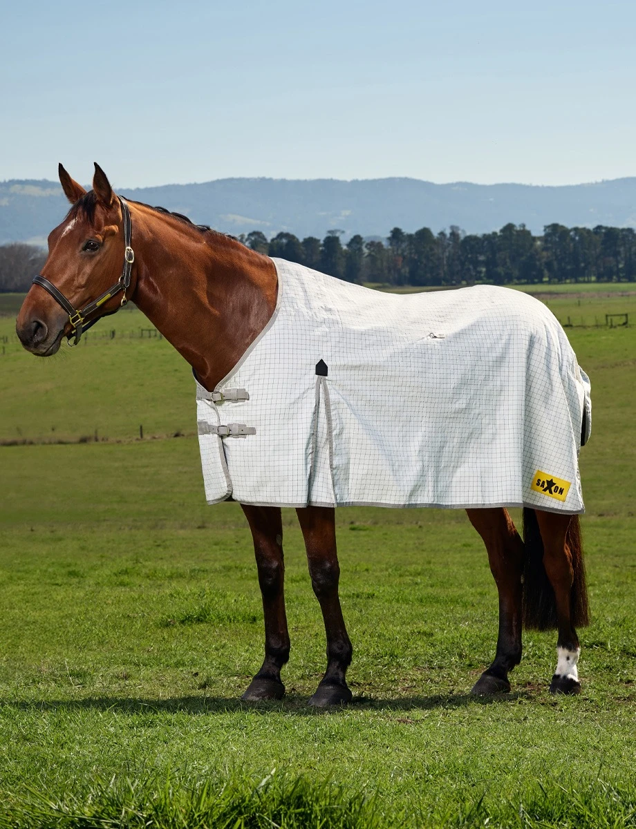 Kool Coat Classic Sheet
