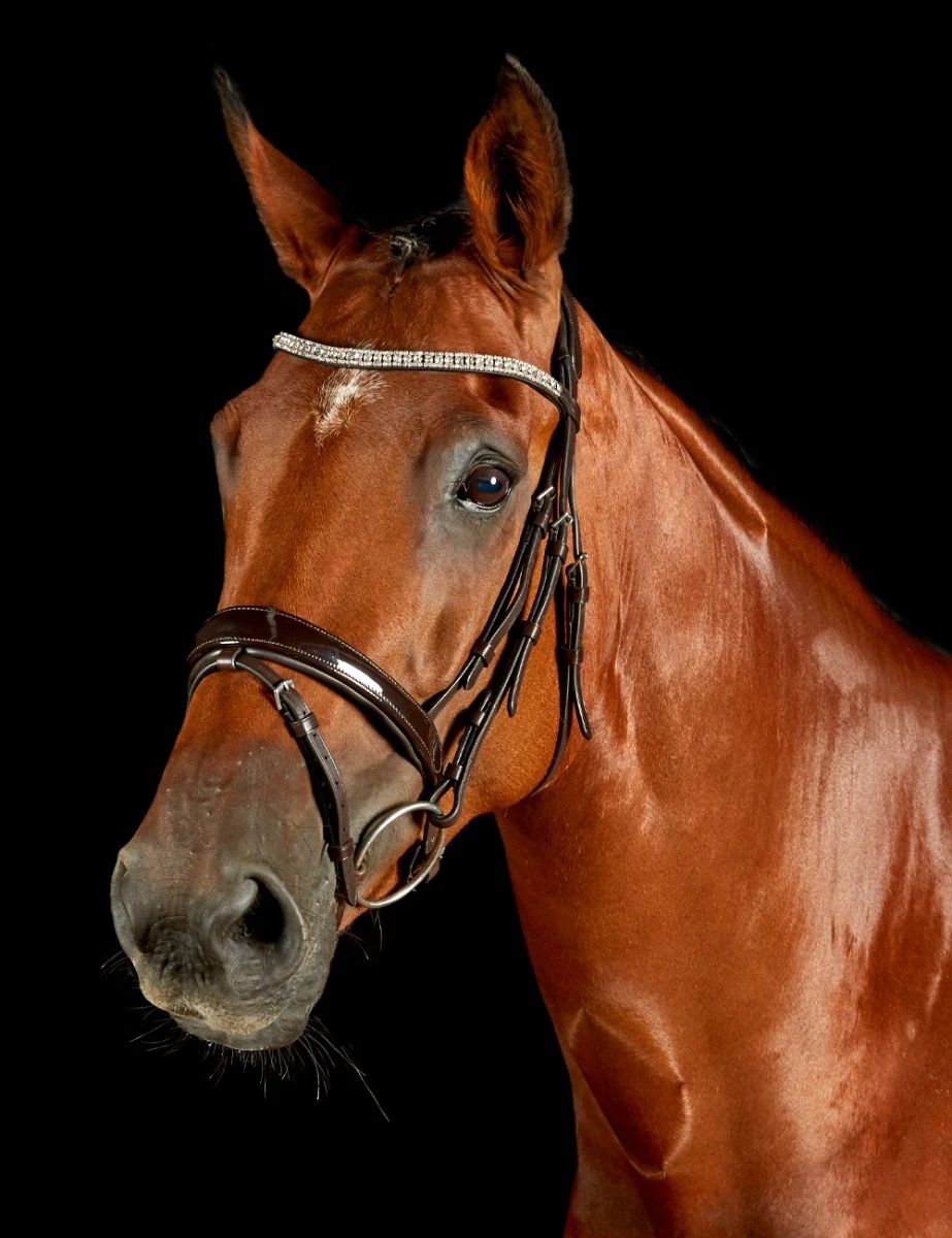 ComFiTec Luna Bridle