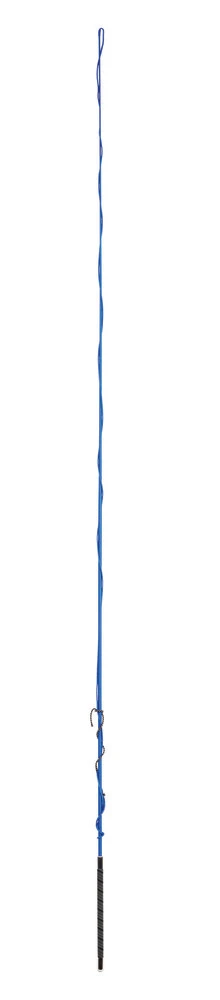 Lunge Whip With Grip Handle