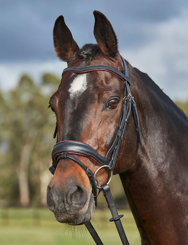 ComFiTec Grace Bridle