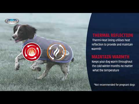 Thermi-Heat Dog Coat