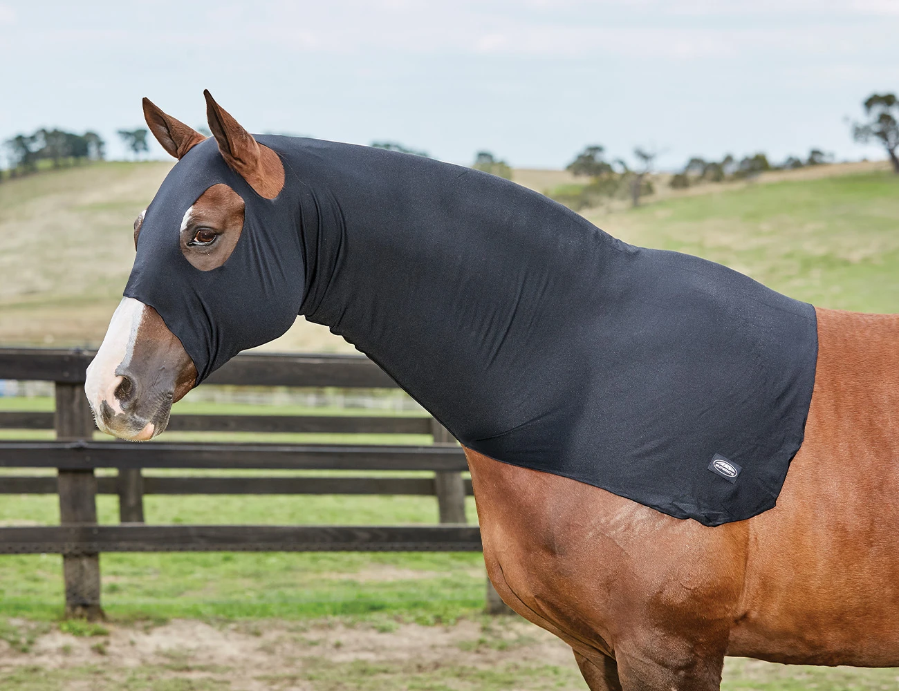 Stretch Hood