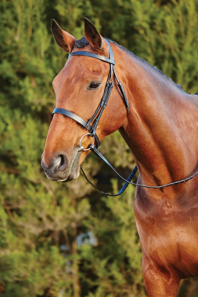 Flat Cavesson II Bridle