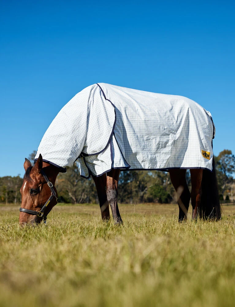 Kool Coat Classic Sheet Combo